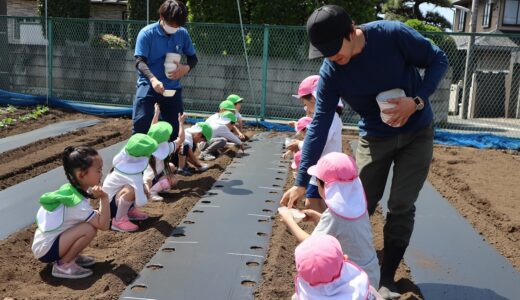 【年長】とうもろこしの種まき